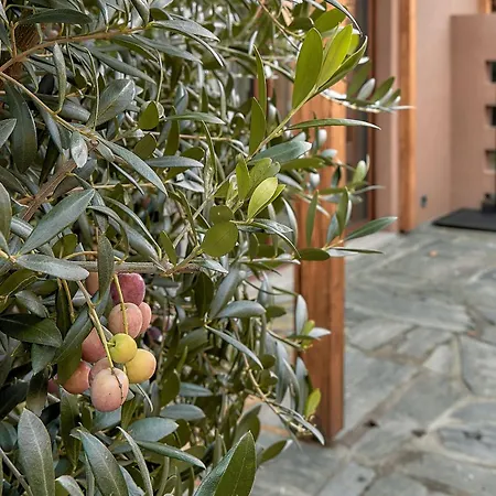 Rosa Luxury Private House Bed & Breakfast